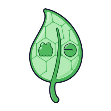Taboshi